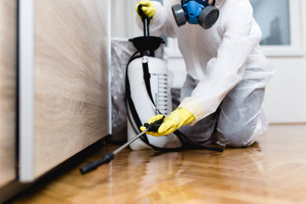 Best Pest Removal Services  in Montgomery, PA