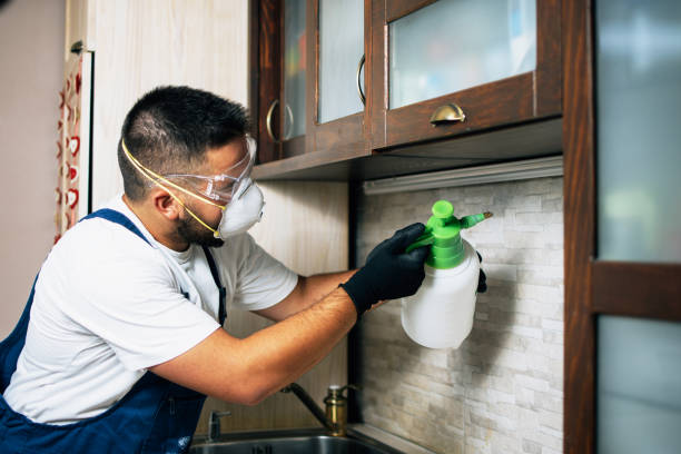 Pest Prevention Services in Montgomery, PA