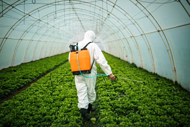 Best Commercial Pest Control Services  in Montgomery, PA