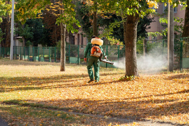 Best Spider Control Near Me  in Montgomery, PA