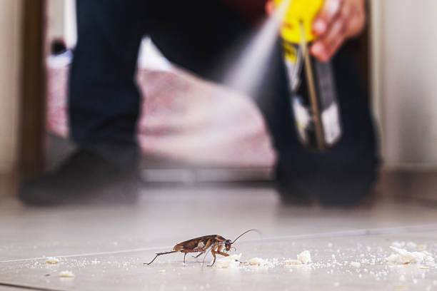 Best Spider Control Near Me  in Montgomery, PA