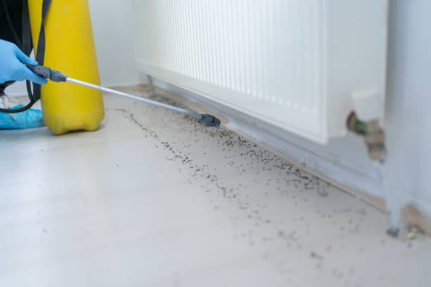 Best Local Pest Control Services  in Montgomery, PA