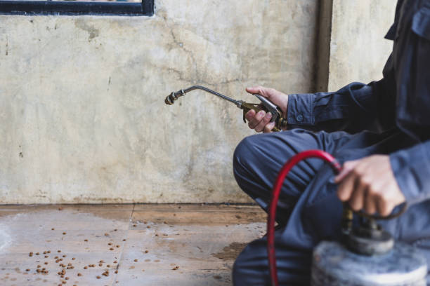 Best Pest Inspection Near Me  in Montgomery, PA